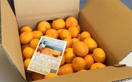 【先行予約】【家庭用】温州みかん 5kg ※離島への配送不可 （2026年11月10日より順次発送） IKTA039