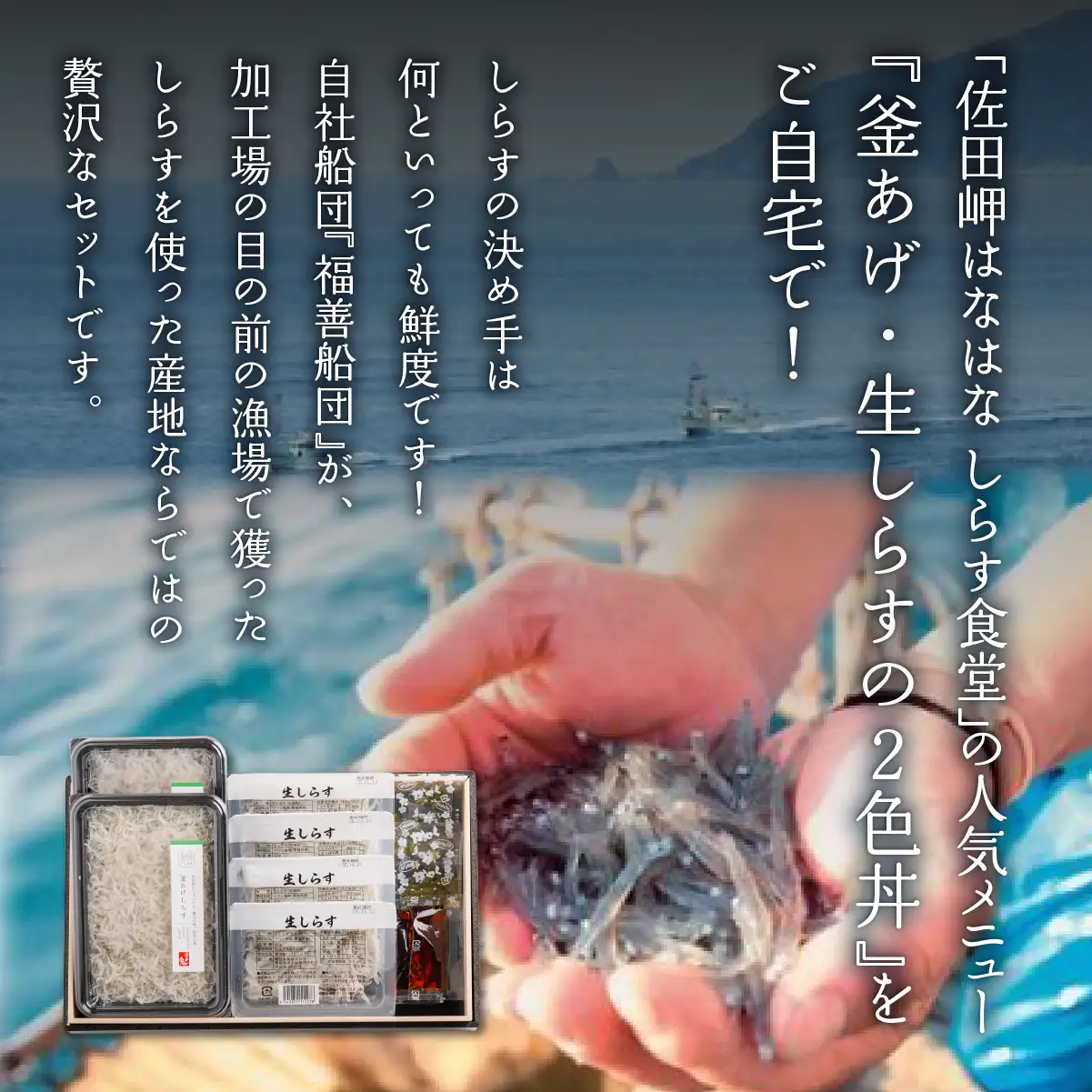 【網元直送】釜あげ・生しらすセット IKTB031 