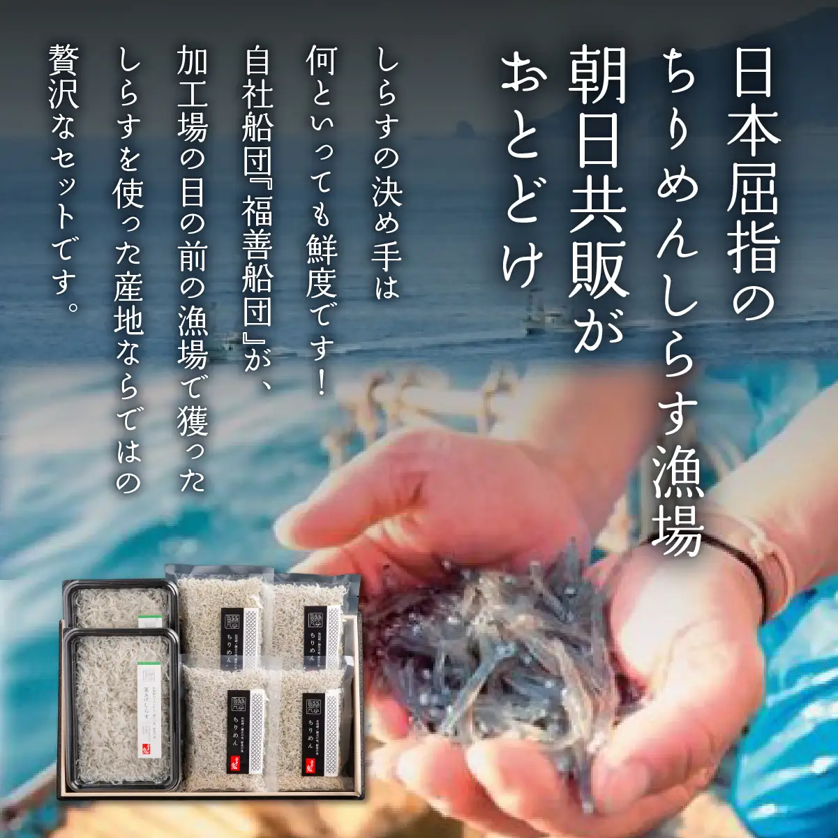 【網元直送】佐田岬しらす・ちりめんセット IKTB032 