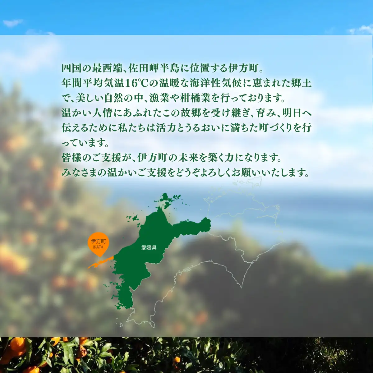 【返礼品なし】愛媛県伊方町・応援寄附5,000円（寄附のみの応援受付 ※返礼品はございません） 【ふるさと納税 人気 おすすめ ランキング 応援寄附 返礼品なし 愛媛県 伊方町 送料無料】 IKTBG002