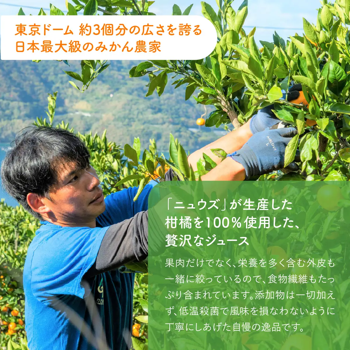 【皮までまるごと国産無添加】みかんジュース3種セット（720ml×3本） IKTF007 