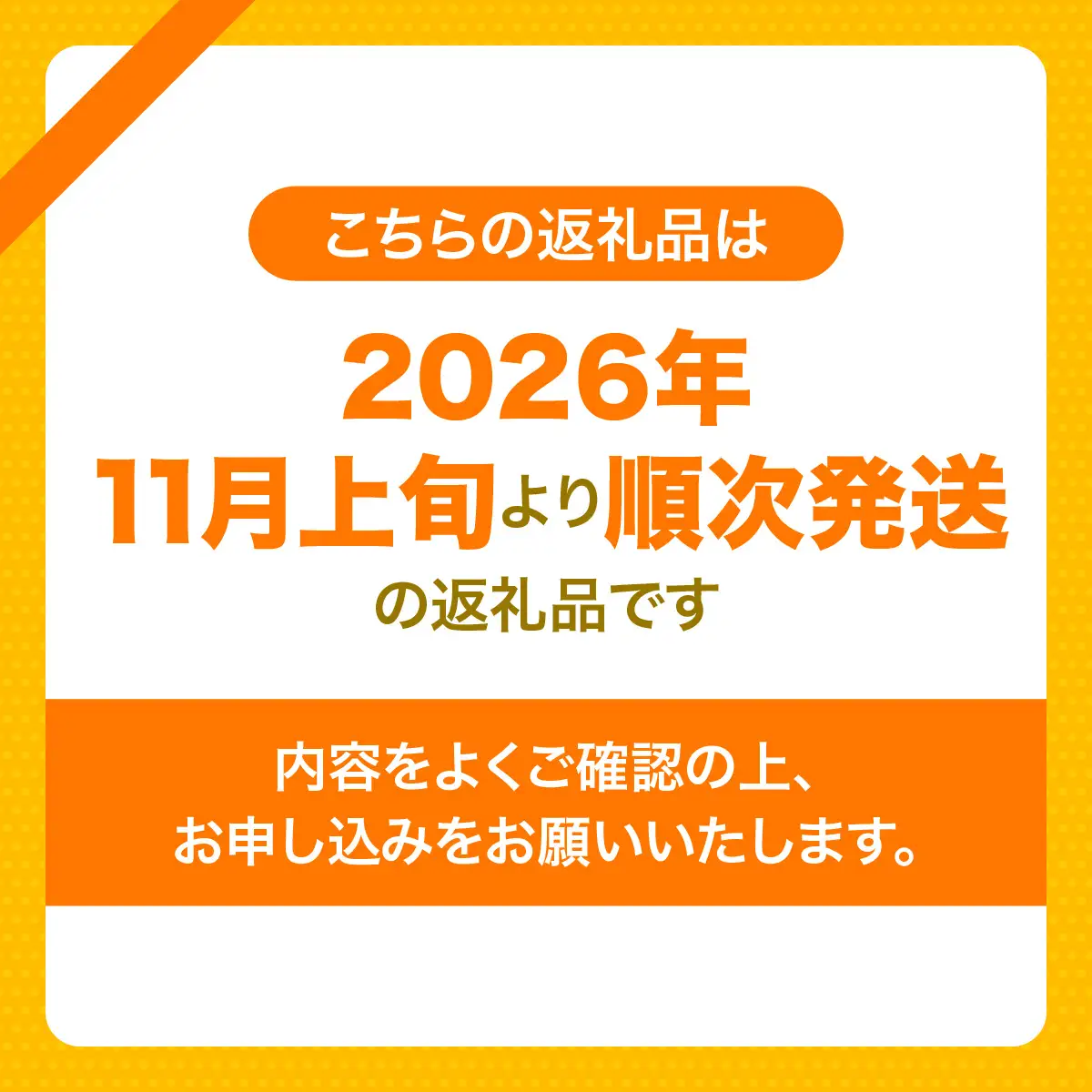 【先行予約】【訳あり】温州みかん 10kg ※離島への配送不可（2026年11月上旬より順次発送） IKTF028