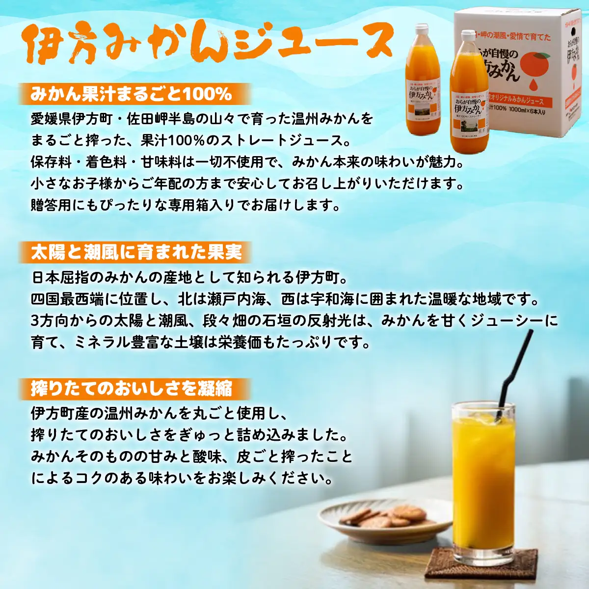 【愛媛県産】おらが自慢の伊方みかんジュース（1000ml×6本）ストレート果汁100％ 【ふるさと納税 人気 おすすめ ランキング みかん ミカン 蜜柑 ジュース みかんジュース ミカンジュース クリエイト伊方 愛媛県 伊方町 送料無料】 IKTI008