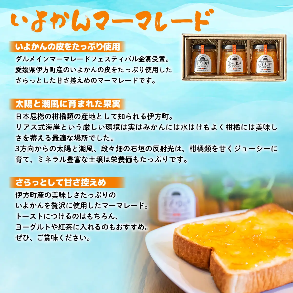 いよかんマーマレード「よそゆき」3点セット【ダルメインマーマレードフェスティバル金賞受賞】※離島への配送不可 【ふるさと納税 人気 おすすめ ランキング マーマレード いよかん 伊予柑 みかん ミカン 蜜柑 クリエイト伊方 愛媛県産 愛媛県 伊方町 送料無料】 IKTI015