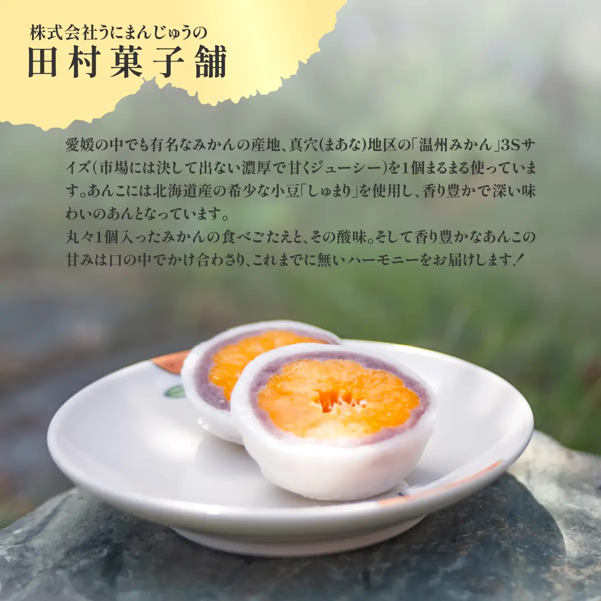 八寿みかん大福6個セット IKTK006