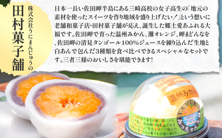 みっちゃん大福（温州みかん、灘オレンジ、岬まどんな）各種1個・八寿みかん大福3個セット IKTK007