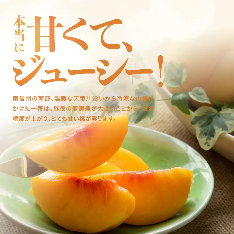南信州産 黄桃 約3kg 【2026年8月下旬～発送】