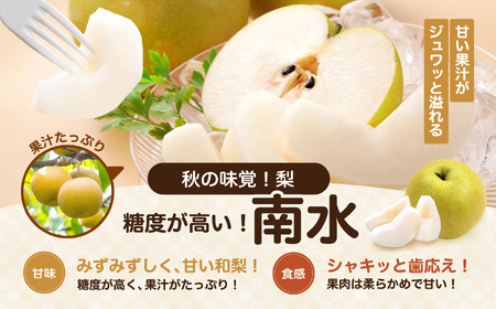 南信州産 梨 南水 約5kg 【2026年9月中旬～発送】