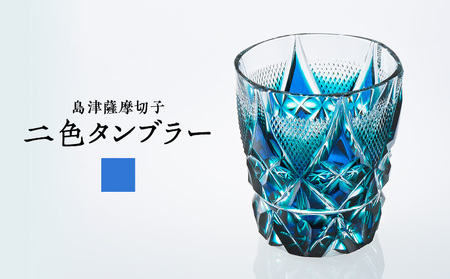 島津 薩摩 切子 二色 タンブラー C-213 ルリ緑 K010-038_02