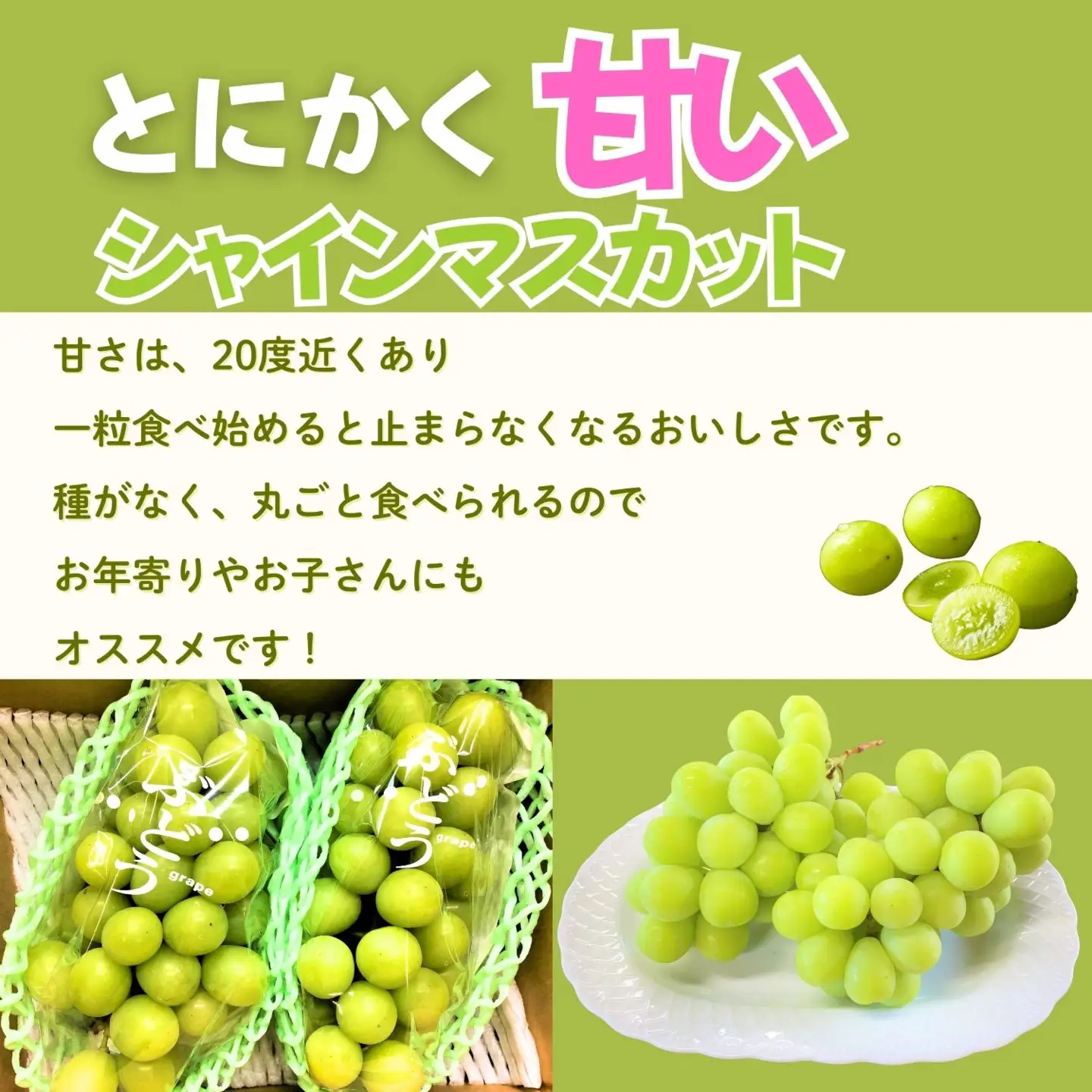 シャインマスカット 約1kg（2房）【2026年9月上旬より発送 先行予約】At-006