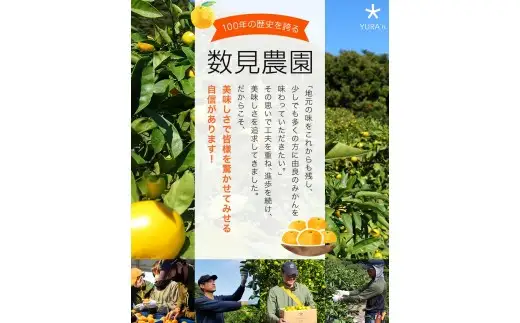 【定期便全4回】数見農園自慢の柑橘盛りだくさん定期便　/ 果物 柑橘 由良町 産地直送 和歌山 詰め合わせ 柑橘 数量限定 ゆら早生  温州みかん 清見 きよみ 清見オレンジ さつき八朔【kzmn-tkb001】
