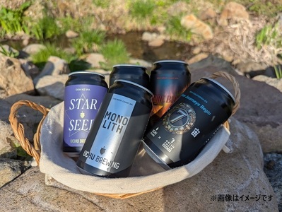 うちゅうブルーイング クラフトビール6本と名水百選で知られる白州の手作りソーセージ3種セット ソーセージ ウインナー ベーコン 詰め合わせ 宇宙ビール [h131]