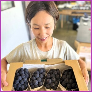 ぶどう ニューピオーネ 約2kg 3～4房 高梁市産 2026年 先行予約 贈答用 化粧箱 大粒 葡萄 ブドウ うめづぶどう園