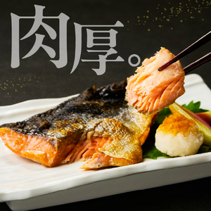 訳あり塩鮭切身（尾の身）500g【er001-105】