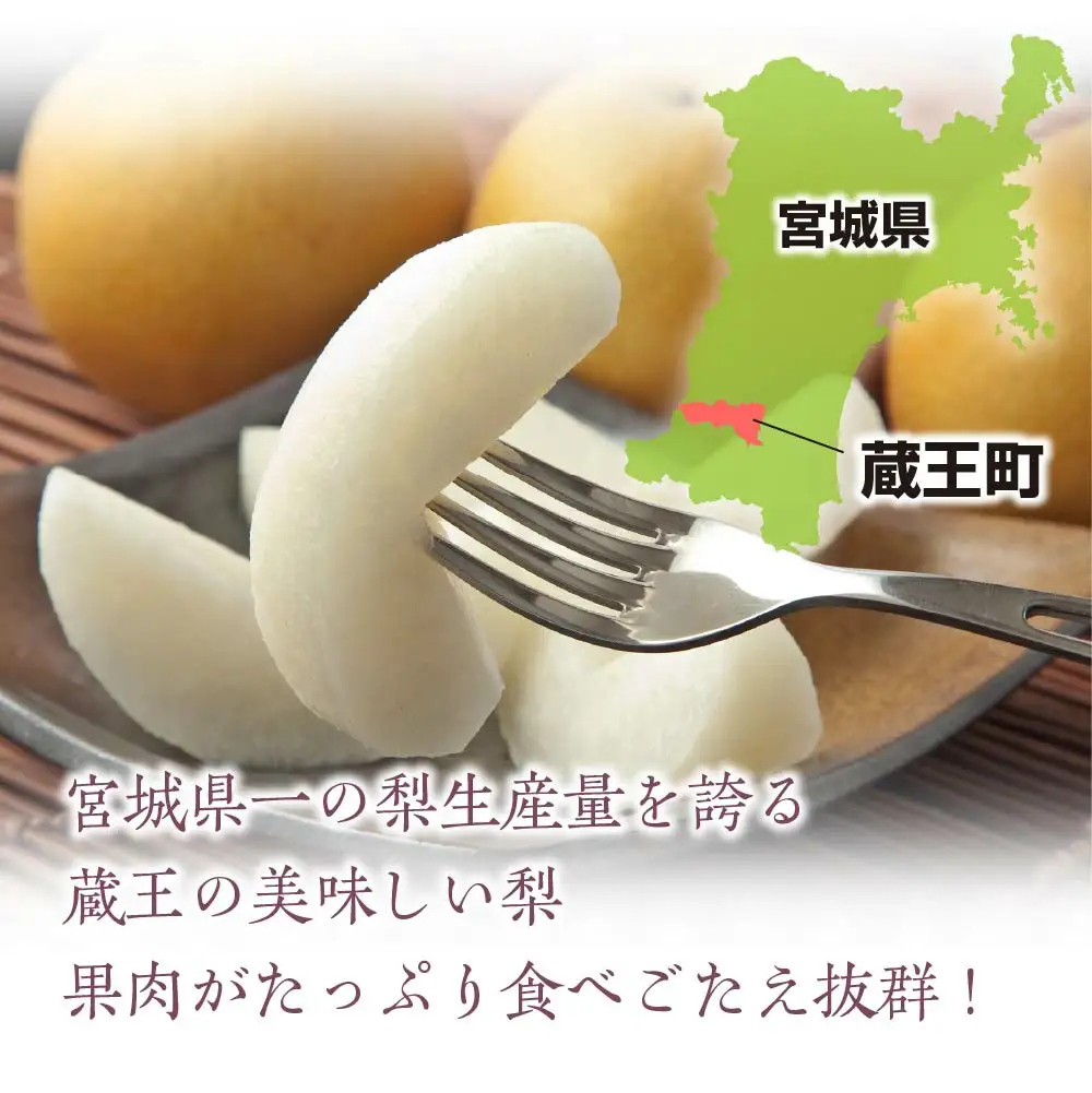 【先行予約】蔵王の梨 豊水約5kg 特大玉(3～5L程度）　【04301-0142】