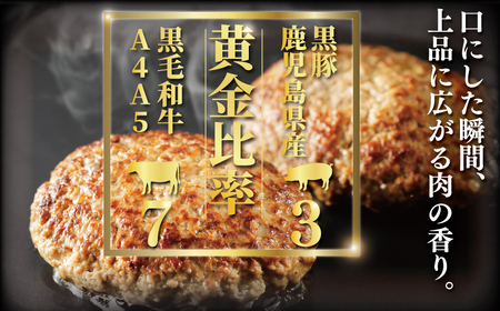 国産黒毛和牛×黒豚 ハンバーグ 10個  |  国産 ひき肉
