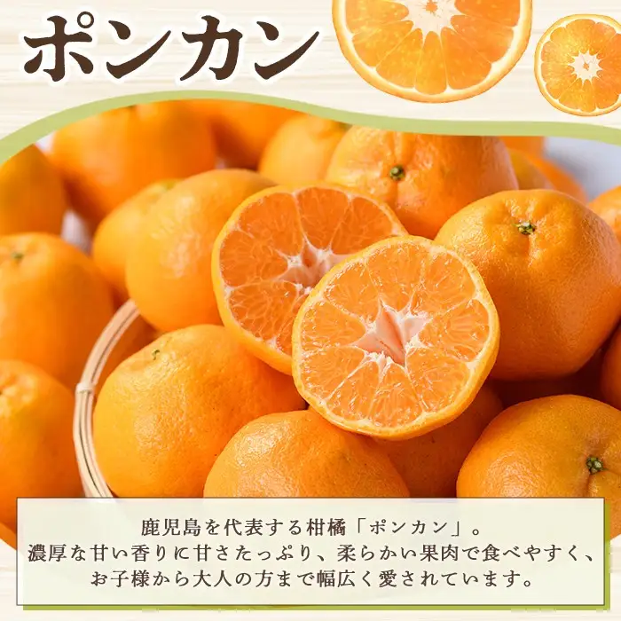 ＜先行予約受付中！2026年12月下旬以降順次発送予定＞ 訳あり！ポンカン(約8kg) 国産 ポンカン 柑橘 果物 フルーツ デザート 果実 期間限定 数量限定【古田果樹園】akn093-05