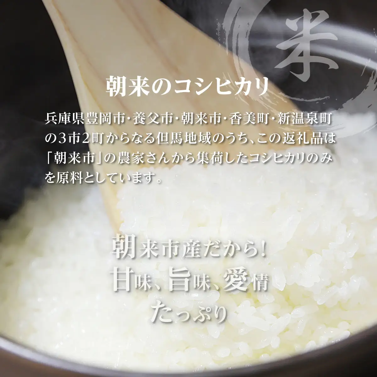 米 白米 R8年産コシヒカリ 5kg