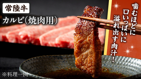【 常陸牛】焼肉用カルビ 1.6kg (茨城県共通返礼品)
