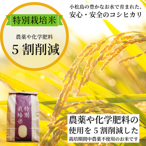 【2026年9月順次発送】令和8年産 新米 白米 2kg 特別栽培米 コシヒカリ