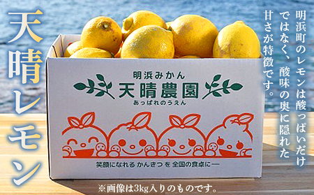 【先行予約】＜天晴レモン ご家庭用 約3kg＞ フルーツ 果物 くだもの レモン れもん 檸檬 柑橘 訳あり わけあり ワケアリ 自宅用 料理 国産 国産レモン 愛媛県産 特産品 株式会社笑丸 愛媛県 西予市【常温】『2026年9月から順次出荷予定』AAN0044