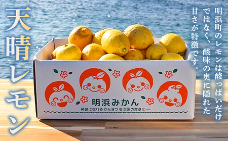 【先行予約】＜天晴レモン ご家庭用 約5kg＞ フルーツ 果物 くだもの レモン れもん 檸檬 柑橘 訳あり わけあり ワケアリ 自宅用 料理 国産 国産レモン 愛媛県産 特産品 株式会社笑丸 愛媛県 西予市【常温】『2026年9月から順次出荷予定』AAN0045