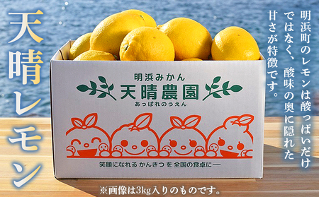 【先行予約】＜天晴レモン 贈答用 約3kg＞ フルーツ 果物 くだもの レモン れもん 檸檬 柑橘 プレゼント 贈り物 お返し お礼 ギフト アレンジ 料理 国産 国産レモン 愛媛県産 特産品 株式会社笑丸 愛媛県 西予市【常温】『2026年9月から順次出荷予定』AAN0047