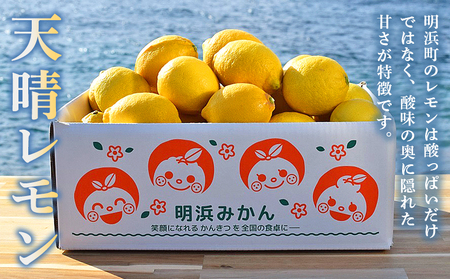【先行予約】＜天晴レモン 贈答用 約5kg＞ フルーツ 果物 くだもの レモン れもん 檸檬 柑橘 プレゼント 贈り物 お返し お礼 ギフト アレンジ 料理 国産 国産レモン 愛媛県産 特産品 株式会社笑丸 愛媛県 西予市【常温】『2026年9月から順次出荷予定』AAN0048