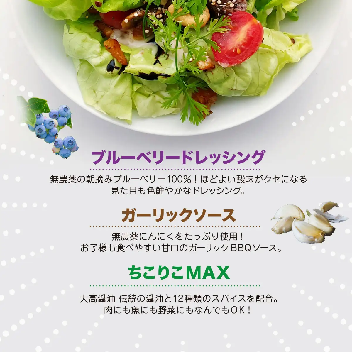 有野実苑オリジナル調味料詰め合わせセット SMN006