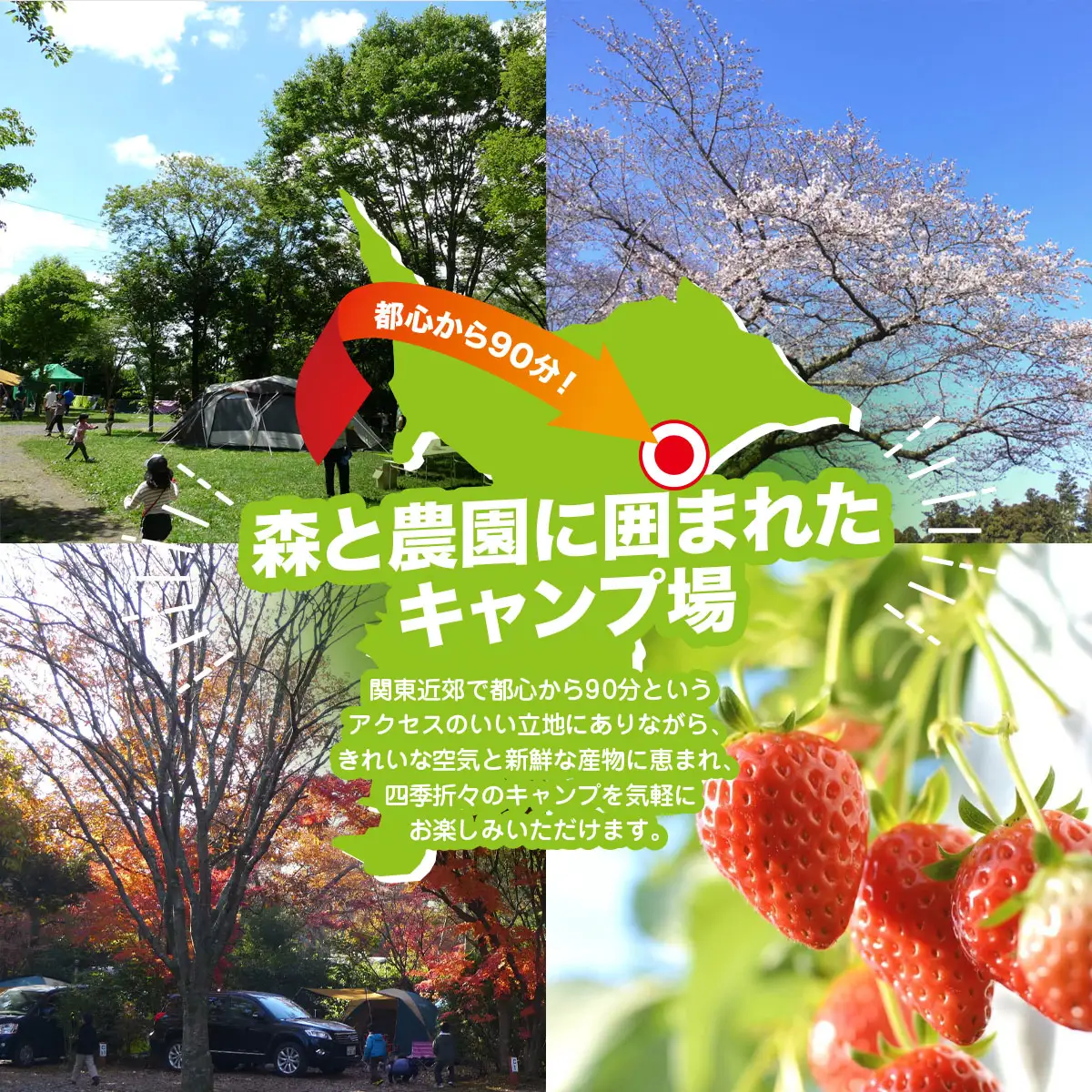 大人気のキャンプ場で特別体験! 有野実苑オートキャンプ場 キャンピングカー宿泊プラン SMN007