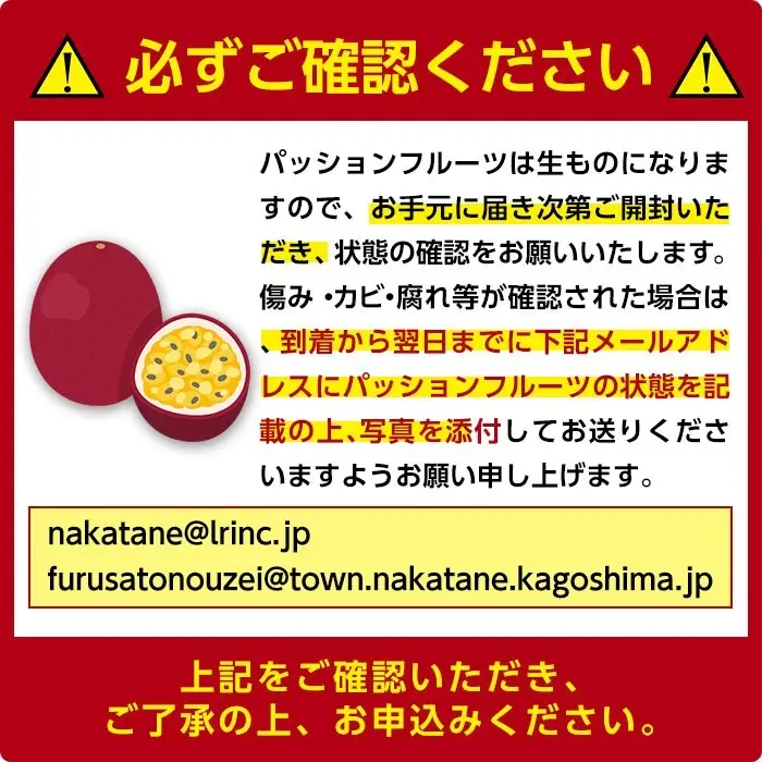 南国・種子島産！パッションフルーツ(2kg前後・約20個入) 国産 鹿児島 果物 【なかたね農産】n358