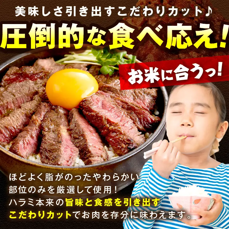【牛肉／ハラミ】訳あり 秘伝のタレ牛ハラミ 600g