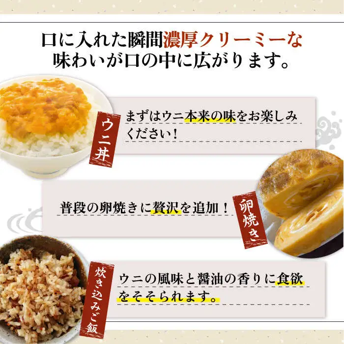 【お中元】壱岐産 濃厚 ウニ 60g ×10本《壱岐市》【合同会社塚元】ムラサキウニ [JDR042]