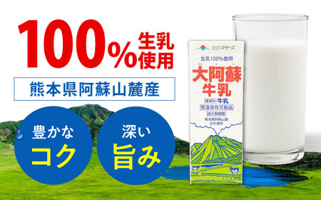 令和8年熊本地震復興支援 【6回定期】大阿蘇牛乳ロングライフ1000ml×6本牛乳[AYAC007]