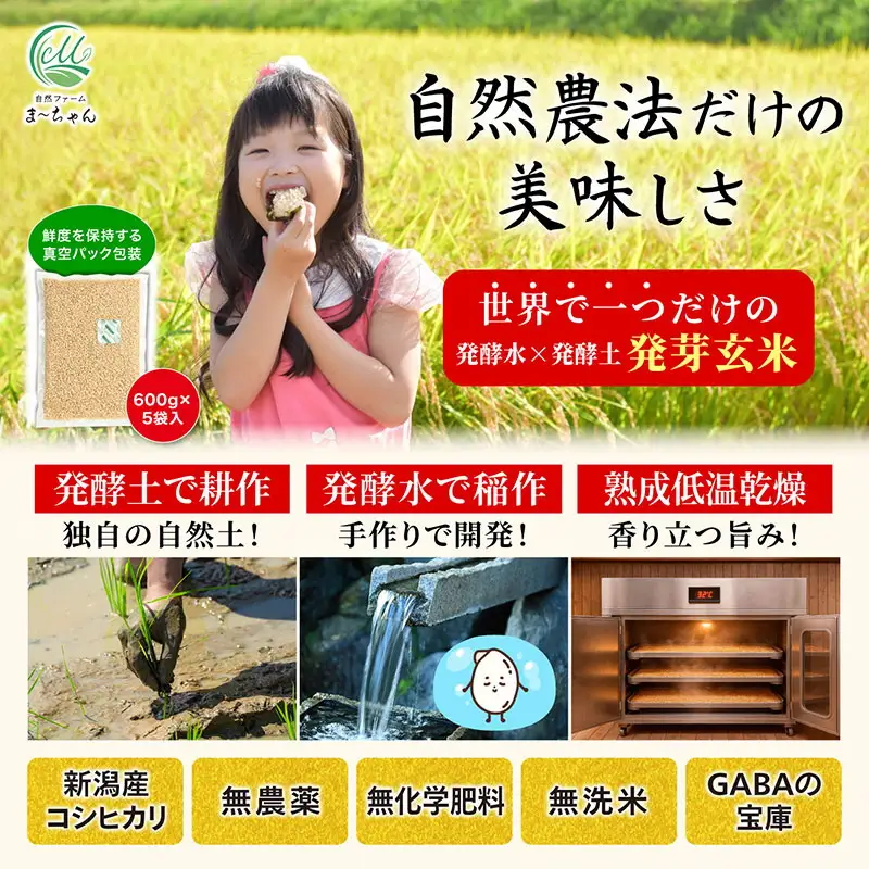 先行予約 無農薬 発芽玄米 無化学肥料 コシヒカリ 3kg(600gx5袋) 