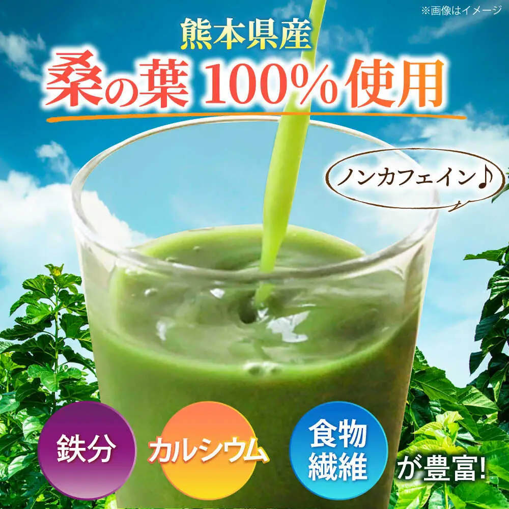 機能性表示食品 健桑茶 1箱 お茶[AYBM004]