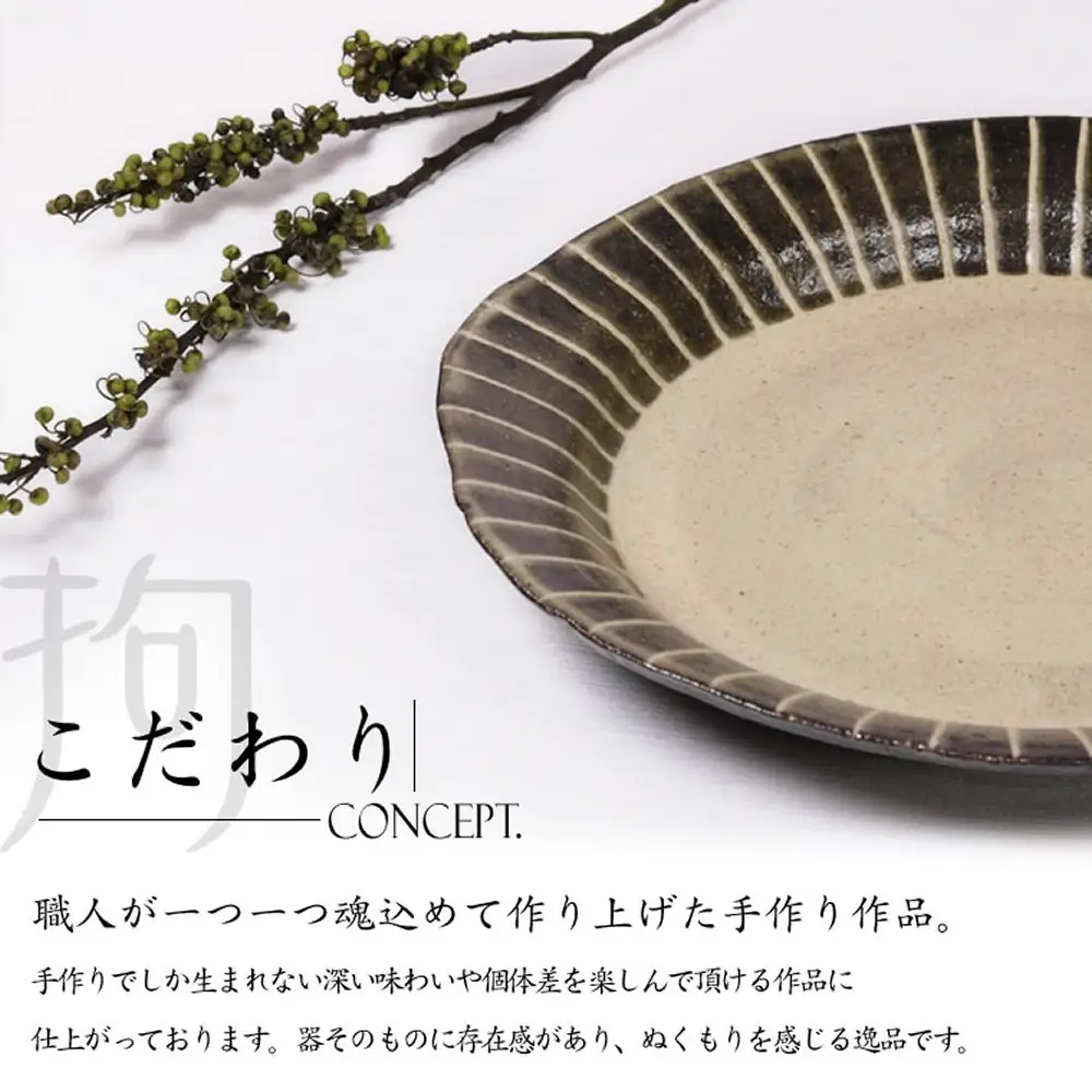 信楽焼 パスタ皿 カレー皿 陶器 【一珍】
