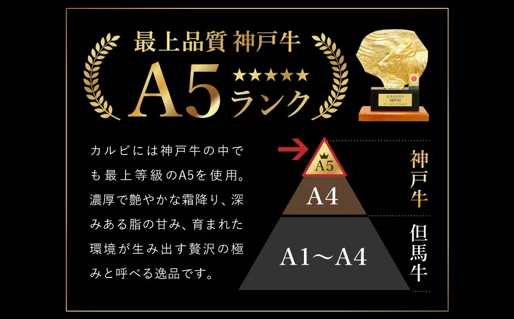 贅沢な脂香る A5ランク 神戸牛 カルビ焼肉 600g（200g×3パック）/ A5ランク 牛カルビ 小分け 牛肉 焼肉 カルビ バラ 肉 ばら肉 焼き肉 密着包装 霜降り バーベキュー 冷凍 国産牛 ブランド牛 黒毛和牛 神戸ビーフ 化粧箱入り ギフト【帝神志方ミート】【12/21までの受注分年内発送】