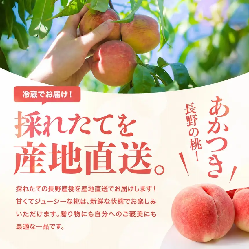 桃 あかつき 糖度13度以上 約1.5kg 5～6個入 【2026年7月中旬～発送】