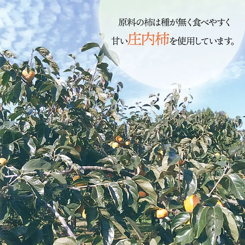 【令和9年発送】 干し柿 250g × 4パック  (1kg)　山形県鶴岡市 くにちゃん農園　K-937　|  ほしがき 干し柿 柿 ドライフルーツ 和菓子 スイーツ お茶請け おつまみ おいしい 人気 おすすめ ギフト 贈答 お取り寄せ 返礼品
