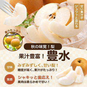 梨 豊水 糖度 14度 以上 約3kg 【2026年月9月上旬～発送】