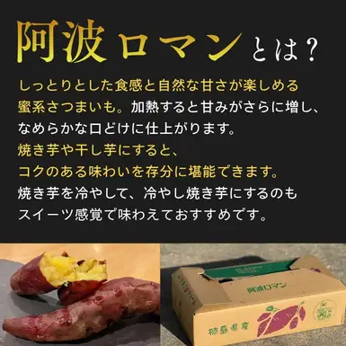 【予約受付中・2026年12月上旬頃より順次発送】鳴門産 さつまいも 『 阿波ロマン 』 3kg　 甘い 　しっとり スイーツ 焼き芋 干し芋 天ぷら サラダ けんぴ きんつば　さつまいも　