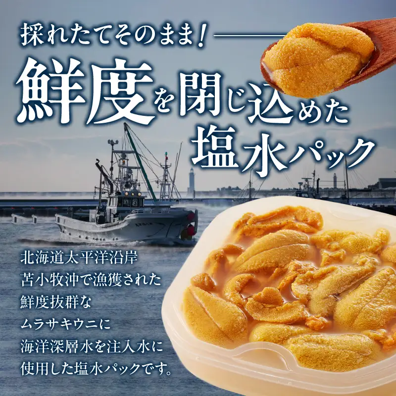 無添加 生ムラサキウニ 塩水パック 100g T032-004 雲丹 海産物 季節限定
