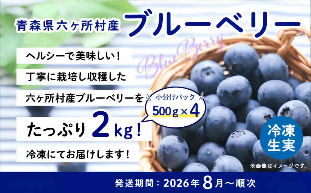 【地元ブランド】ブルーベリー冷凍生実2kg