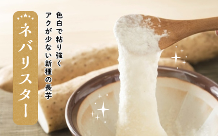 ネバリスター　5kg×1箱