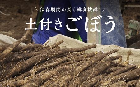 ごぼう　5kg×1箱　Mサイズ 18～22本