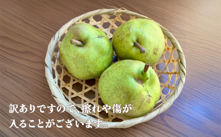 先行予約 訳あり ラ・フランス 無印品 5kg 令和8年産 sb-laxxw5-b
