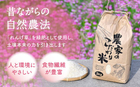 【令和7年度米】 れんげ米 なつほのか 3kg【ふきの陶】[NF18] 白米 3kg 白米