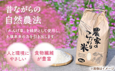 【令和7年度米】 れんげ米 なつほのか 5kg【ふきの陶】[NF19] 白米 5kg 白米