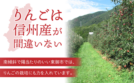 りんご「シナノリップ」3kg 長野県オリジナル品種 ｜JA信州うえだ東部地区営農課 東御市産 ※8月上旬～9月上旬頃お届け予定